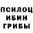 Псилоцибиновые грибы Magic Shrooms Rostyslav Khanenkiv