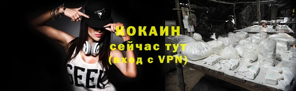 прущие крисы Няндома