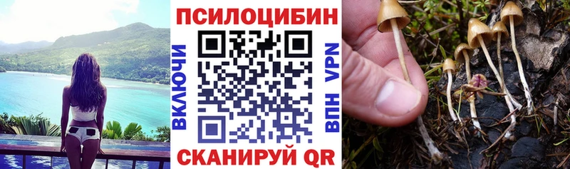 Псилоцибиновые грибы GOLDEN TEACHER  MEGA как войти  Ак-Довурак 